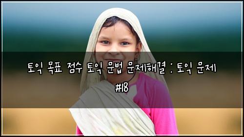 토익 목표 점수 토익 문법 문제해결 : 토익 문제 #18