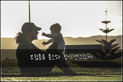 보험종류 종신과 정기 센스있게