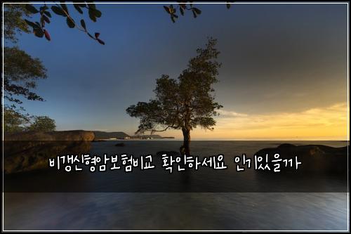 비갱신형암보험비교 확인하세요 인기있을까
