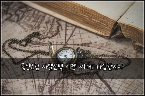 종신보험 사뿐선택  이젠 싸게 가입합시다