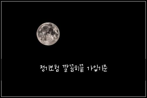 정기보험 깔꼼히끝  가입기준