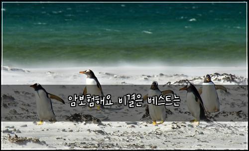 ์๋ณดํํด์ ๋น๊ฒฐ์ ๋ฒ ์คํธ๋