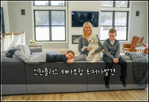 신한플러스 태아보험 최저가발견 