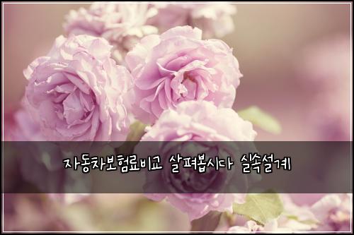 ์๋์ฐจ๋ณดํ๋ฃ๋น๊ต ์ดํด๋ด
์๋ค ์ค์์ค๊ณ