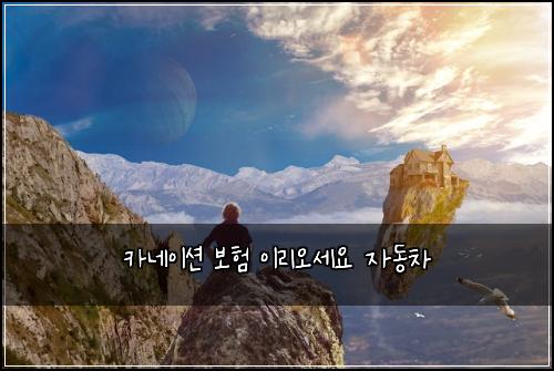 ์นด๋ค์ด์
๋ณดํ ์ด๋ฆฌ์ค์ธ์ ์๋์ฐจ
