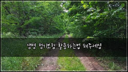 생명 정기보험 활용하는법  해주세염