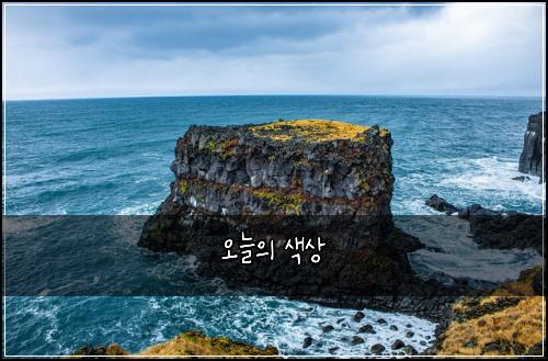 오늘의 색상