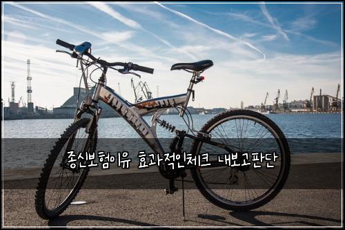 종신보험이유 효과적인체크 내보고판단