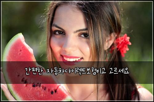 간편한 자동차다이렉트보험비교 고르세요