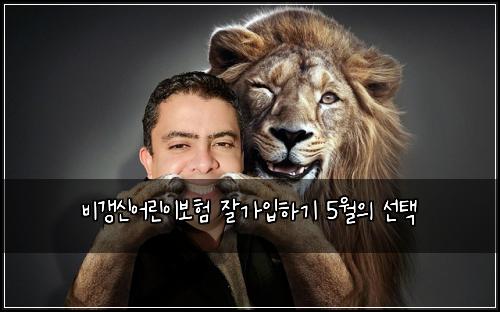 비갱신어린이보험 잘가입하기  5월의 선택