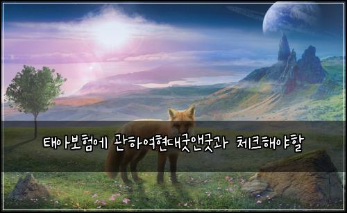 태아보험에 관하여현대굿앤굿과 체크해야할