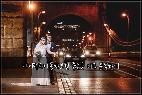 다이렉트자동차보험 좋은곳 비교 분석하기