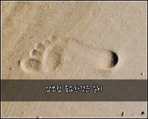 암보험 중요한것은  실비