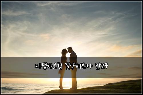 자덩차보험 절약해보자  만24