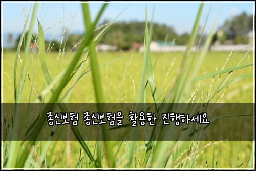 종신보험 종신보험을 활용한 진행하세요
