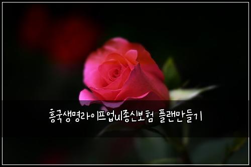흥국생명라이프업ul종신보험 플랜만들기 