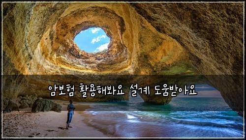 암보험 활용해봐요  설계 도움받아요