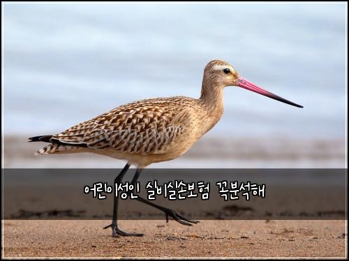 ์ด๋ฆฐ์ด์ฑ์ธ ์ค๋น์ค์๋ณดํ ๊ผญ๋ถ์ํด