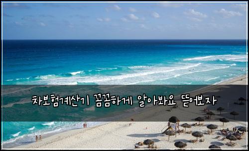 차보험계산기 꼼꼼하게 알아봐요 뜯어보자