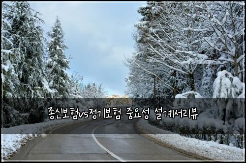 종신보험vs정기보험 중요성 설계서리뷰