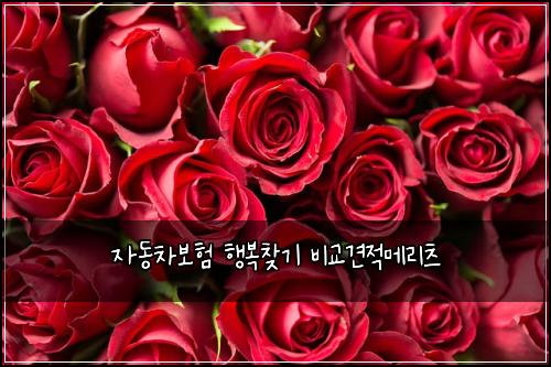 자동차보험 행복찾기  비교견적메리츠