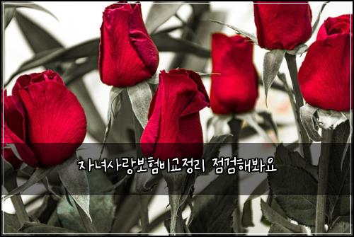 자녀사랑보험비교정리 점검해봐요