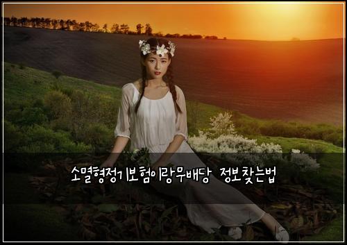์๋ฉธํ์ ๊ธฐ๋ณดํ์ด๋๋ฌด๋ฐฐ๋น ์ ๋ณด์ฐพ๋๋ฒ