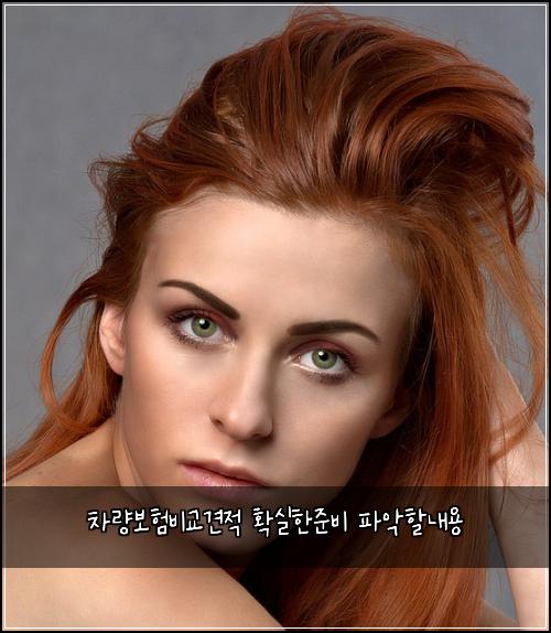 차량보험비교견적 확실한준비 파악할내용