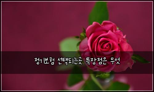 정기보험 선택되는곳  특장점은 무엇