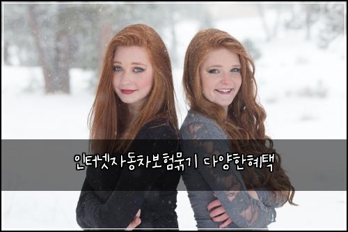 ์ธํฐ๋ท์๋์ฐจ๋ณดํ๋ฌถ๊ธฐ ๋ค์ํํํ