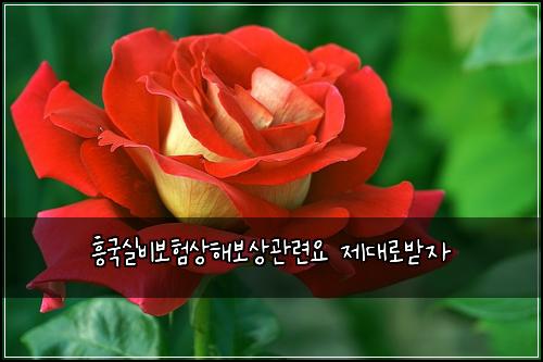 흥국실비보험상해보상관련요 제대로받자