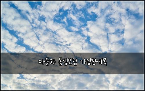 ์๋์ฐจ ๋์๋ณดํ ๊ฐ์
์ ์๊ผญ