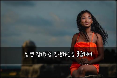 남편 정기보험 진행하는법  궁금해여