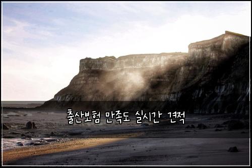 출산보험 만족도  실시간 견적