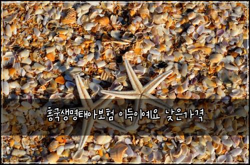 흥국생명태아보험 이득이예요  낮은가격