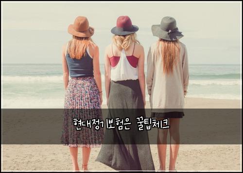 현대정기보험은 꿀팁체크