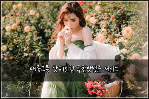 대중교통 상해보험 추천방법은  서비스