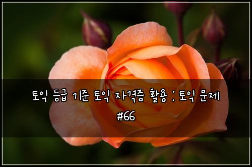 토익 등급 기준 토익 자격증 활용 : 토익 문제 #66