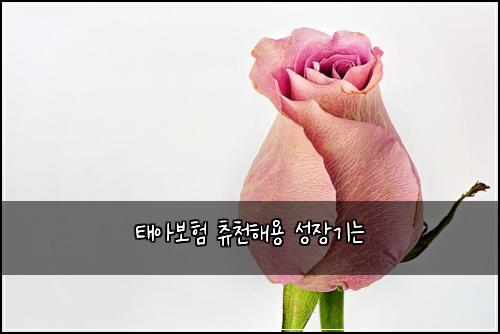 ํ์๋ณดํ ์ธ์ฒํด์ฉ ์ฑ์ฅ๊ธฐ๋