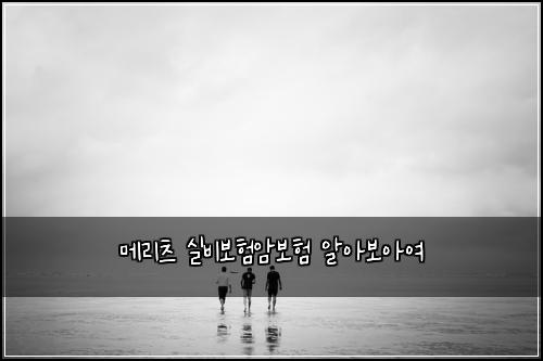 메리츠 실비보험암보험 알아보아여