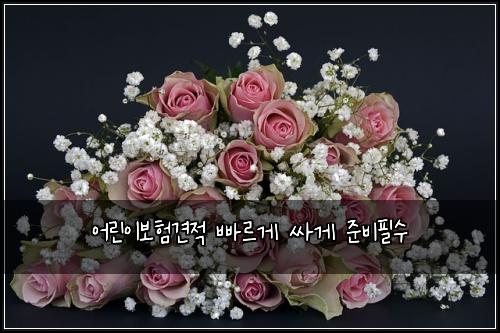 어린이보험견적 빠르게 싸게 준비필수