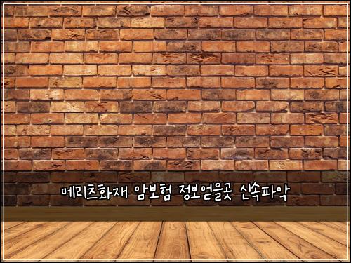 메리츠화재 암보험 정보얻을곳  신속파악