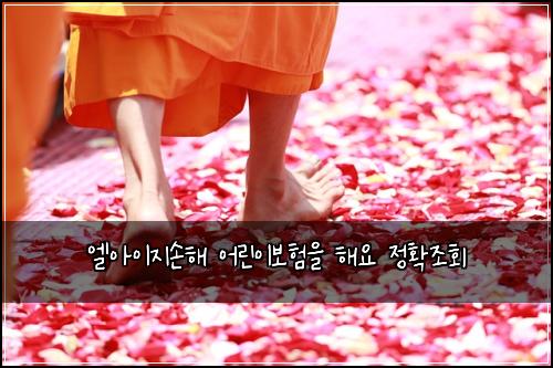 엘아이지손해 어린이보험을 해요 정확조회