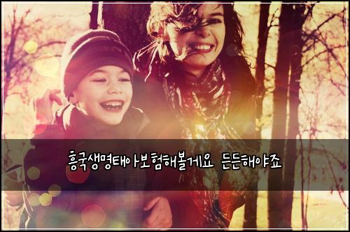 흥국생명태아보험해볼게요 든든해야죠