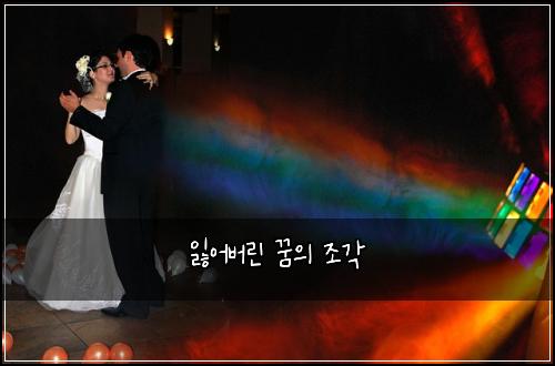 잃어버린 꿈의 조각
