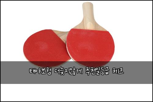태아보험 더늦지않게  추천일등급 체크