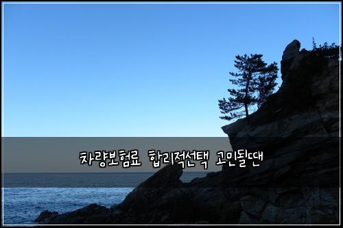 차량보험료 합리적선택 고민될땐