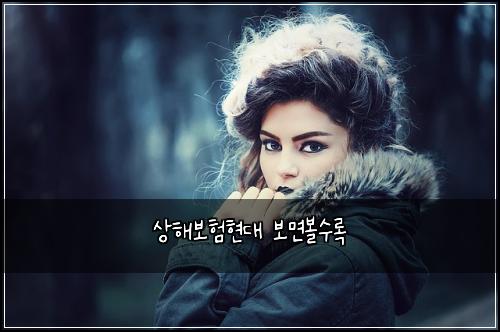 상해보험현대 보면볼수록