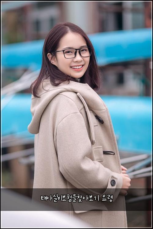 태아실비보험을찾아보기 요령