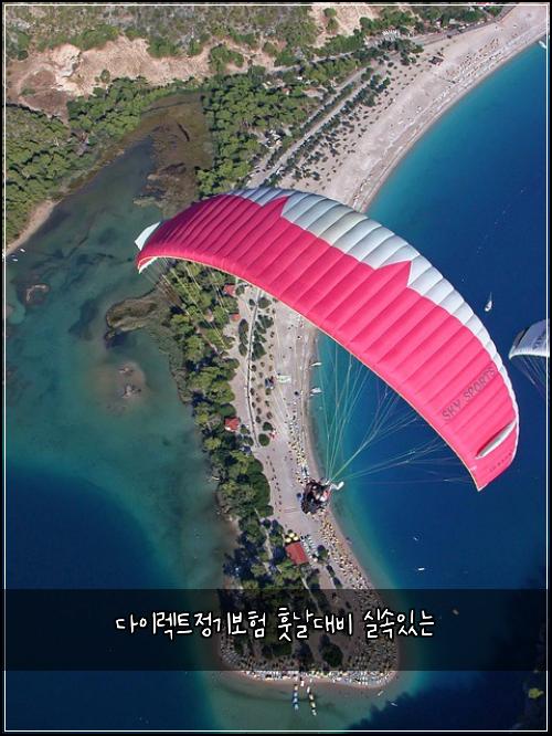 다이렉트정기보험 훗날대비  실속있는